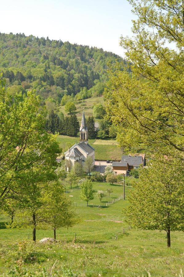 Appartement A Mitzach 外观 照片