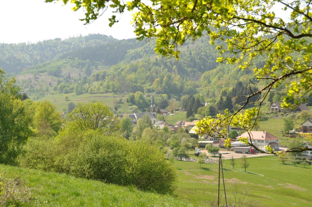 Appartement A Mitzach 外观 照片